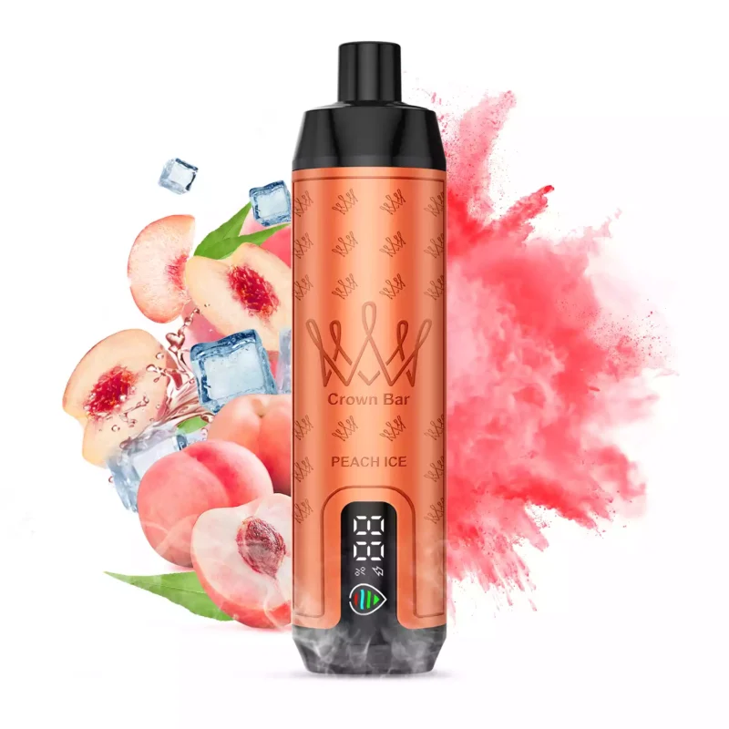 AUPO F18 SALFAKHAR 15000 Bouffées Ecran Affichage Stylo à Vape Jetable Wholesale Origina Germany Warehouse 2024 New Support OEMODM 11