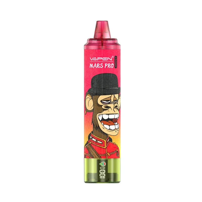 Grossiste VAPEN MRS PRO 15000 bouffées Stylo à Vape Jetable 24ml 860mAh Rechargeable 2 Nicotine avec Affichage LED Directement de l'Usine 2
