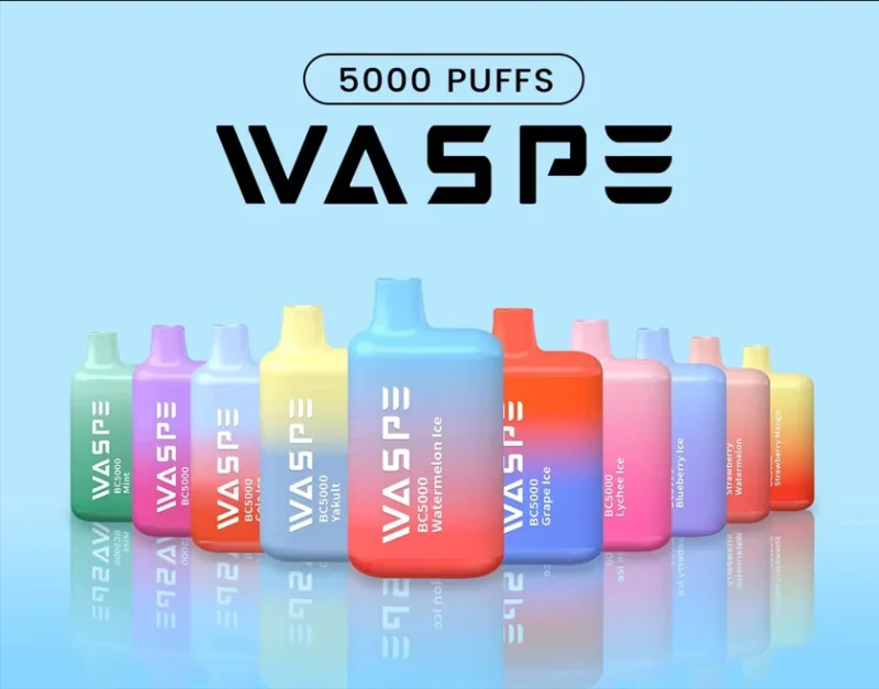 Waspe 5000 Puffs Sigaretta elettronica portatile premium con vapes usa e getta ai sali di nic.