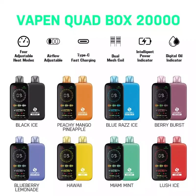VAPEN QUAD BOX 20000 PUFFS 2% 5% Low Nicotine 650mAh Rechargeable Wholesale Disposable Vape with 12 Flavors 2