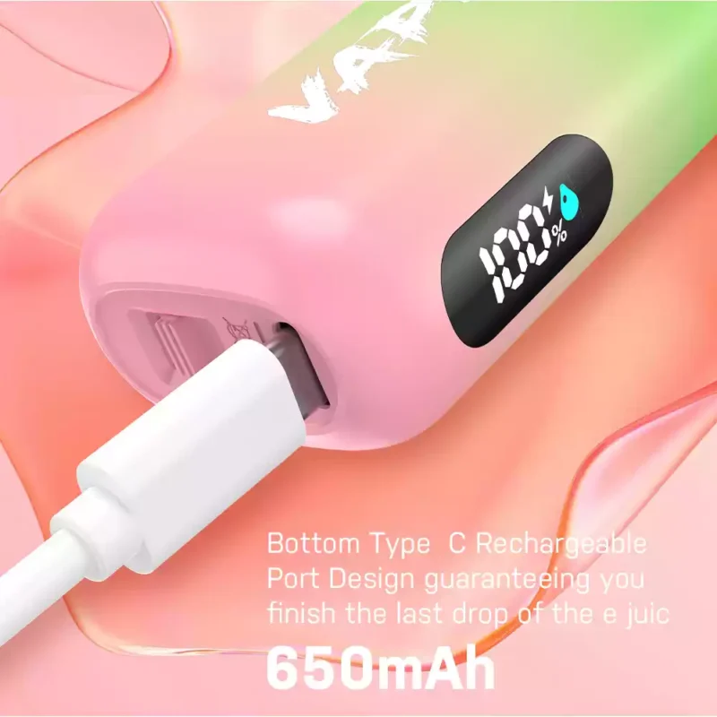 Original Factory VAPEN ROCS 16000 PUFFS 2% 5% Low Nicotine 650mAh Rechargeable Buy Bulk Wholesale Disposable Vape 6
