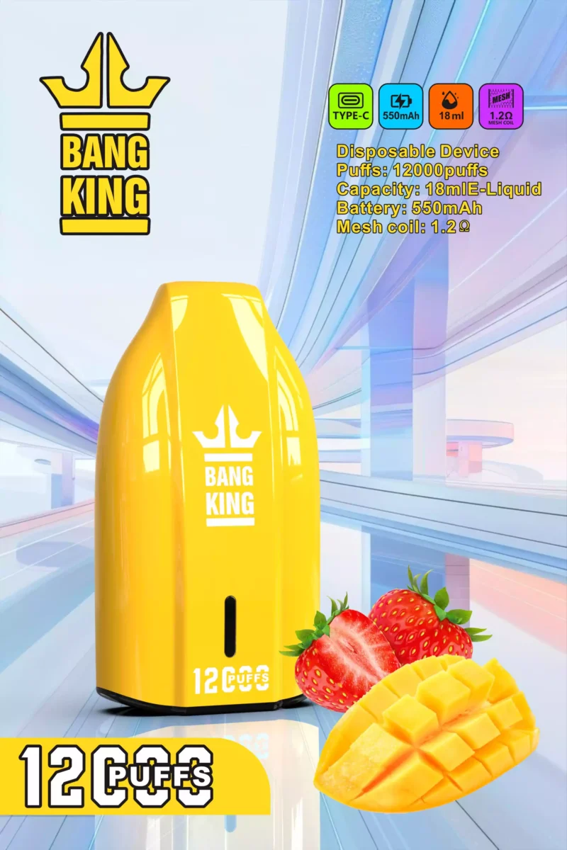 Brand New Offering BANG KING 12000 Puffs Disposable Vapes 600mah Rechargeable Low Nicotine Bulk Buy Wholesale (3)