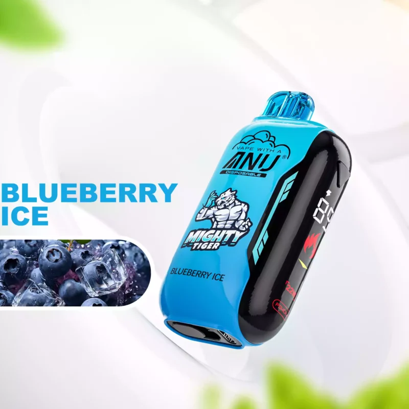 Original ANU Vista 30000 Puffs Disposable Vape Pen Low Nicotine with 10 Flavor Bulk Buy Wholesale from Factory (3)