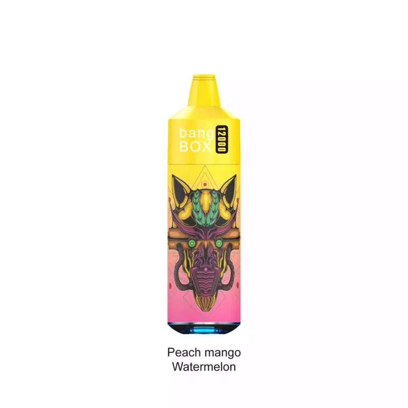 Bang Box 12000 Puffs Vape With Vibrant RGB Light Premium Disposable Vape For Ultimate Vaping Experience 6